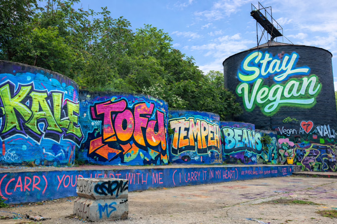 Colorful vegan street art mural in Asheville featuring Kale, Tofu, Tempeh, Beans and a Stay Vegan silo